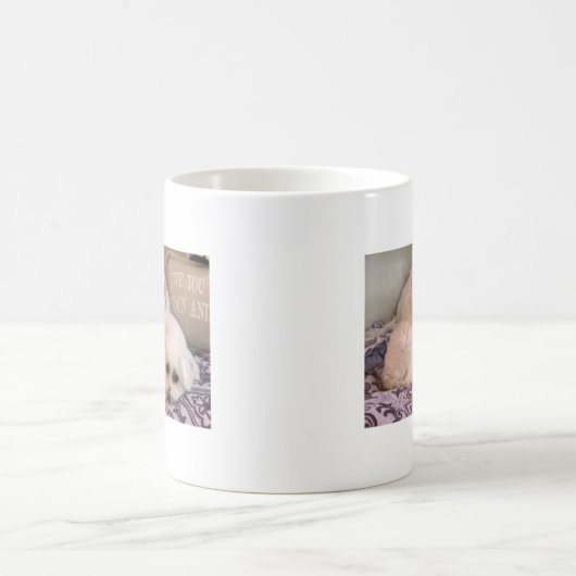 Dogs Photo Cute Maltese en Shih Tzu Koffiemok (Center)