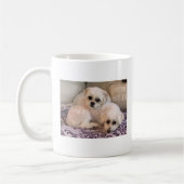 Dogs Photo Cute Maltese en Shih Tzu Koffiemok (Links)