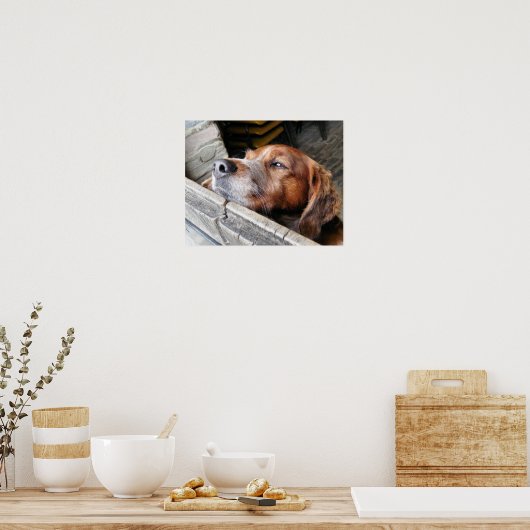 DOGS POSTER (Keuken)