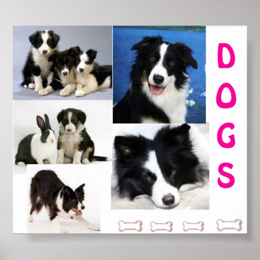 DOGS-poster Poster (Voorkant)