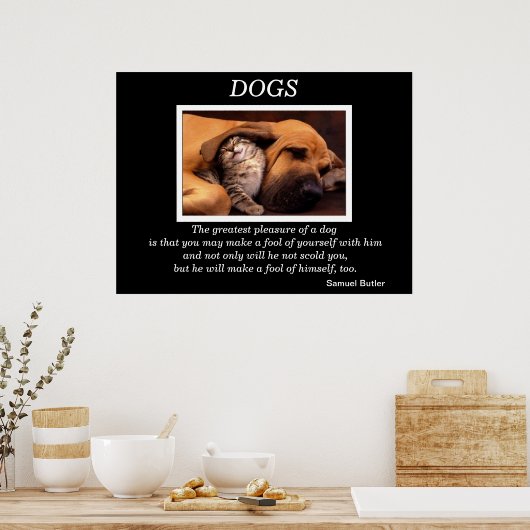 DOGS-Posters 3 Poster (Keuken)