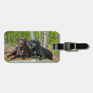 Dogs Puppies Black Lab Chocolate Labrador Retrive Bagagelabel