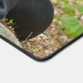 Dogs Puppies Black Lab Chocolate Labrador Retrive Bureaumat (Hoek)