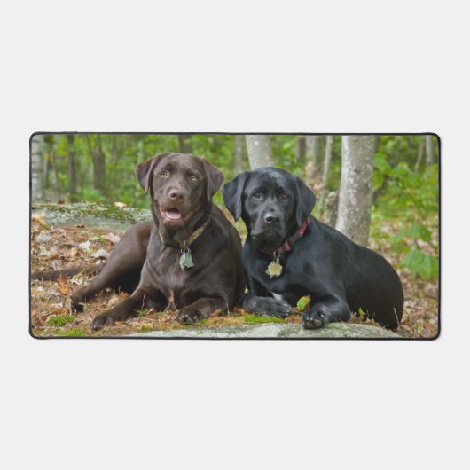 Dogs Puppies Black Lab Chocolate Labrador Retrive Bureaumat (Voorkant)