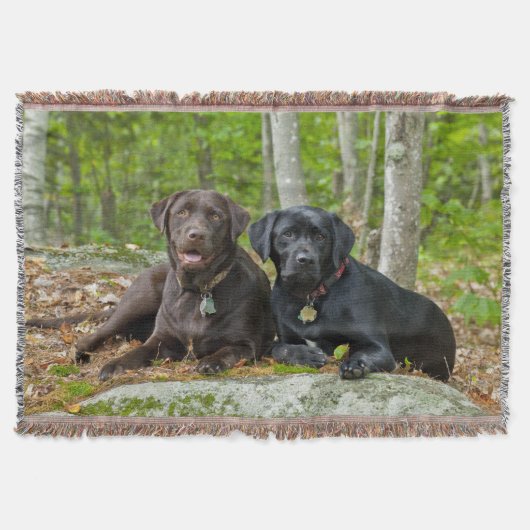 Dogs Puppies Black Lab Chocolate Labrador Retrive Deken (Voorkant)