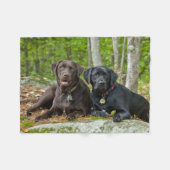 Dogs Puppies Black Lab Chocolate Labrador Retrive Fleece Deken (Voorkant (Horizontaal))