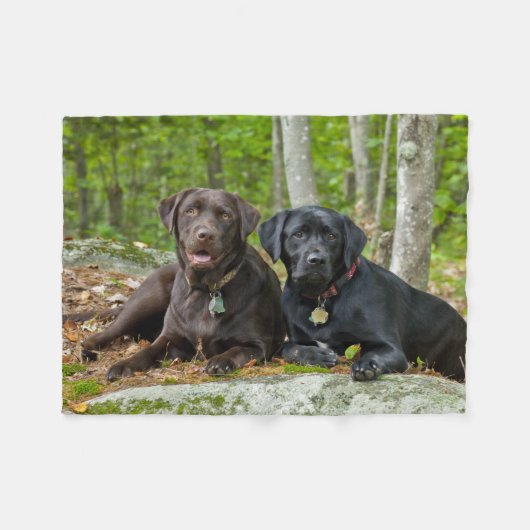 Dogs Puppies Black Lab Chocolate Labrador Retrive Fleece Deken (Voorkant (Horizontaal))