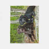 Dogs Puppies Black Lab Chocolate Labrador Retrive Fleece Deken (Voorkant)