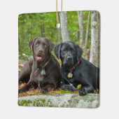 Dogs Puppies Black Lab Chocolate Labrador Retrive Keramisch Ornament (Links)