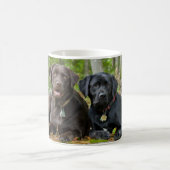 Dogs Puppies Black Lab Chocolate Labrador Retrive Koffiemok (Center)