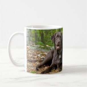 Dogs Puppies Black Lab Chocolate Labrador Retrive Koffiemok