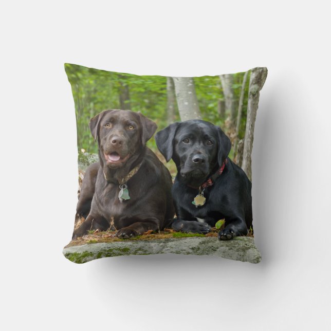 Dogs Puppies Black Lab Chocolate Labrador Retrive Kussen (Voorkant)