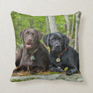 Dogs Puppies Black Lab Chocolate Labrador Retrive Kussen