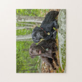 Dogs Puppies Black Lab Chocolate Labrador Retrive Legpuzzel (Verticaal)