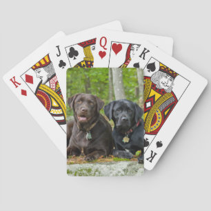 Dogs Puppies Black Lab Chocolate Labrador Retrive Pokerkaarten