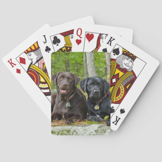Dogs Puppies Black Lab Chocolate Labrador Retrive Pokerkaarten (Achterkant)