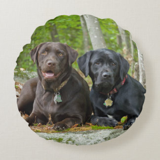 Dogs Puppies Black Lab Chocolate Labrador Retrive Rond Kussen