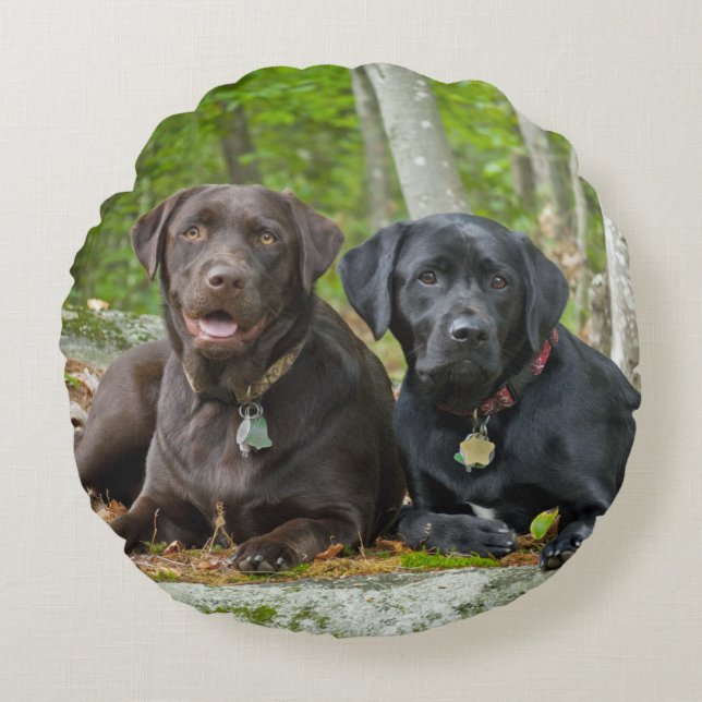 Dogs Puppies Black Lab Chocolate Labrador Retrive Rond Kussen (Voorkant)