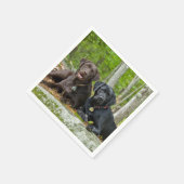 Dogs Puppies Black Lab Chocolate Labrador Retrive Servetten (Hoek)