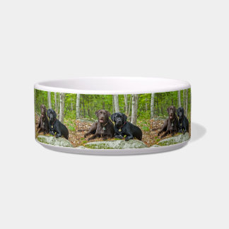 Dogs Puppies Black Lab Chocolate Labrador Retrive Voerbakje