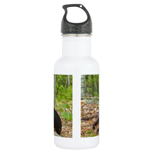 Dogs Puppies Black Lab Chocolate Labrador Retrive Waterfles (Achterkant)