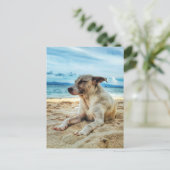 Dog's Relaxing Day in the Beach, Ocean Sand & Sun Briefkaart (Staand voorkant)