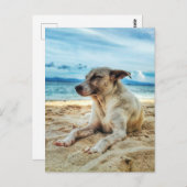 Dog's Relaxing Day in the Beach, Ocean Sand & Sun Briefkaart (Voorkant / Achterkant)