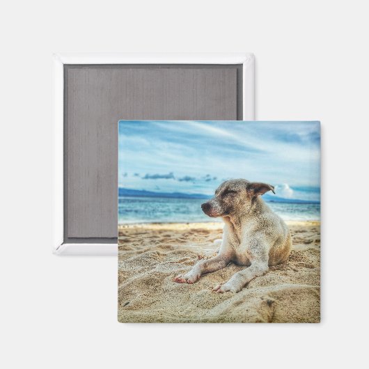 Dog's Relaxing Day in the Beach, Ocean Sand & Sun Magneet (Voorkant / Achterkant)