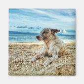 Dog's Relaxing Day in the Beach, Ocean Sand & Sun Magneet (Voorkant)