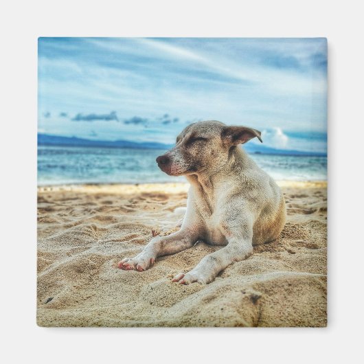 Dog's Relaxing Day in the Beach, Ocean Sand & Sun Magneet (Voorkant)