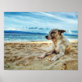Dog's Relaxing Day in the Beach, Ocean Sand & Sun Poster (Voorkant)