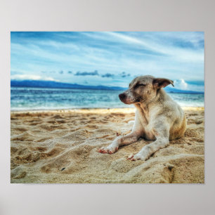 Dog's Relaxing Day in the Beach, Ocean Sand & Sun Poster