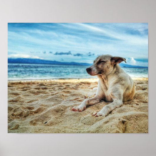 Dog's Relaxing Day in the Beach, Ocean Sand & Sun Poster (Voorkant)