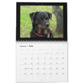 Dogs Rottweiler en Pitbull Dog Calendar Kalender (Jan 2026)