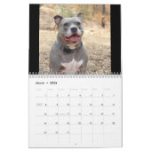 Dogs Rottweiler en Pitbull Dog Calendar Kalender (Mar 2026)