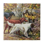  Dogs Setter Trio Tegeltje (Voorkant)