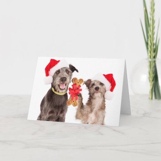 Dogs Sharing HOWLiday cheer Christmas Card Feestdagen Kaart (Voorkant)