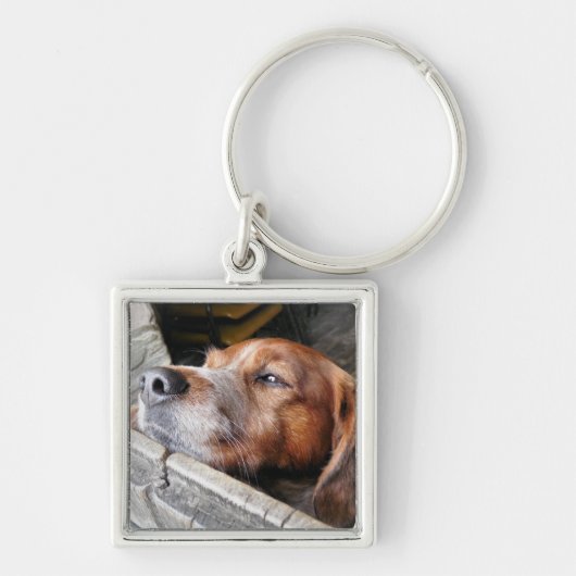 DOGS SLEUTELHANGER (Voorkant)