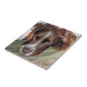 DOGS TEGELTJE (Zijkant)