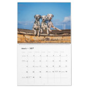 Dogtopia - Hondenkalender Kalender (Mar 2027)