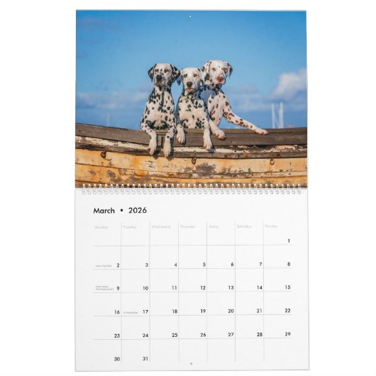 Dogtopia - Hondenkalender Kalender (Mar 2026)
