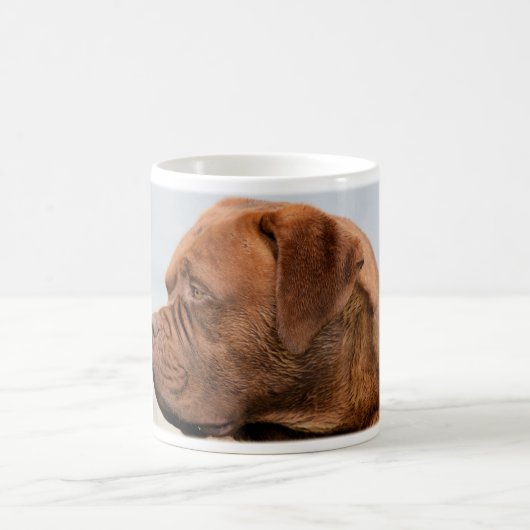 dogue-de-bordeaux-2.png koffiemok (Center)