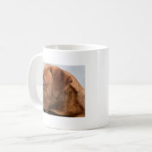 dogue-de-bordeaux-2.png koffiemok (Voorkant links)