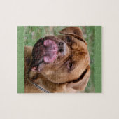 Dogue de Bordeaux 8 x 10 foto puzzle Legpuzzel (Horizontaal)