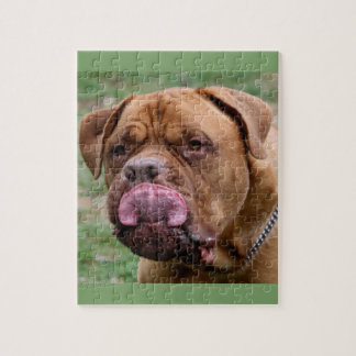 Dogue de Bordeaux 8 x 10 foto puzzle Legpuzzel