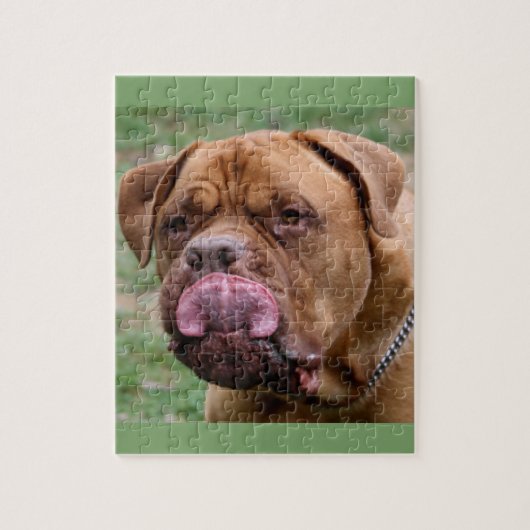 Dogue de Bordeaux 8 x 10 foto puzzle Legpuzzel (Verticaal)