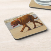 dogue de bordeaux bier onderzetter (Linkerzijde)