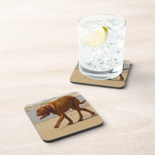 dogue de bordeaux bier onderzetter (Rechterzijde)