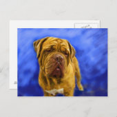 Dogue de Bordeaux Briefkaarten (Voorkant / Achterkant)