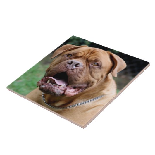 Dogue de bordeaux Ceramic Tile Tegeltje (Zijkant)